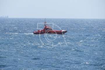 Avistan cetáceos en el mar de La Garita-Telde (Foto TA)